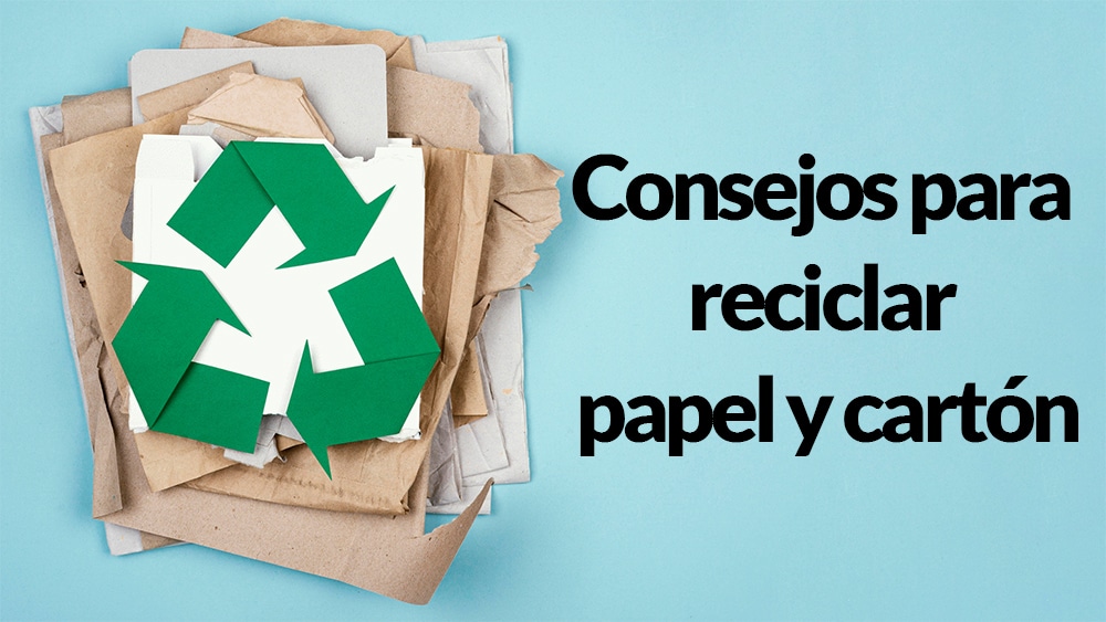 Cómo-se-recicla-el-papel-Fases-y-motivos-para-hacerlo 1